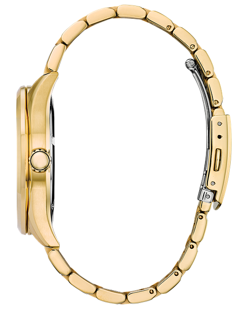 Citizen Corso Eco Drive Diamond Watch