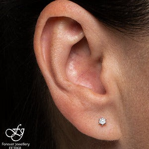10K White Gold Diamond Earrings