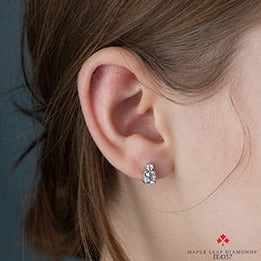 14K White Gold Aquamarine Earrings