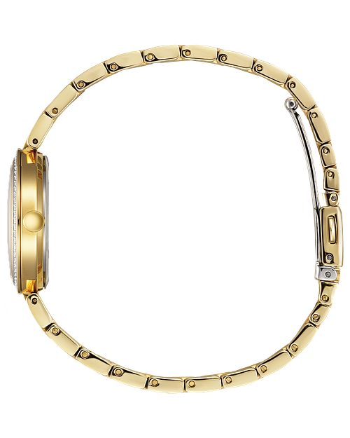 Citizen Eco Drive Stainless Steel Silhouette Watch