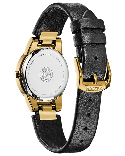 Citizen Eco Drive Leather Strap Watch