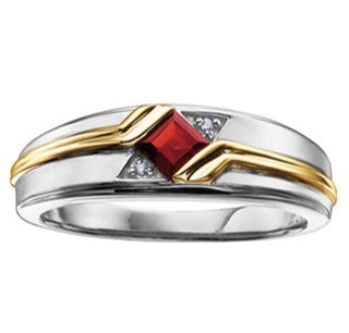 10K Two Tone Diamond & Garnet Men's Ring