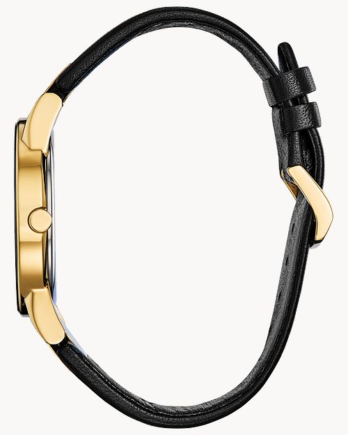 Citizen Eco Drive Black Leather Watch