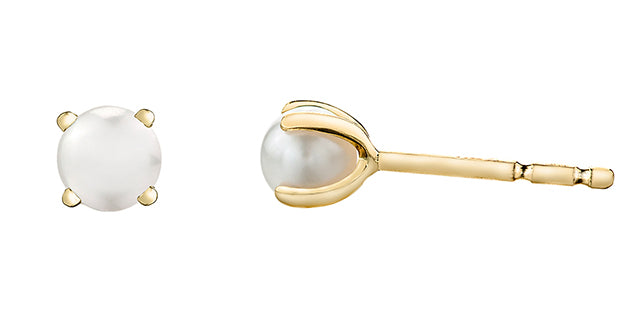 10K Yellow Gold Pearl Earrings