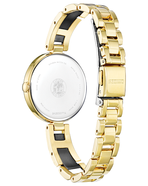 Citizen Eco Drive Two Tone Watch