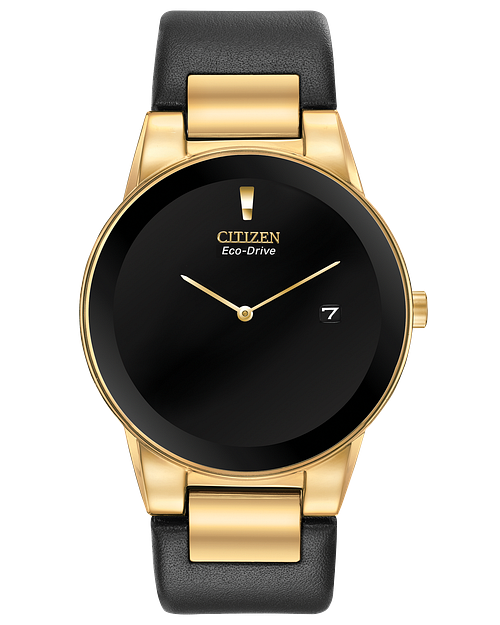 Citizen Eco Drive Black Leather Watch