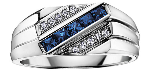 10K White Gold Diamond & Sapphire Ring
